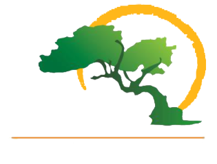 Fofoti Tours & Transfers